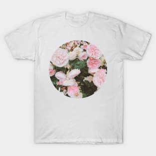 Pastel Roses T-Shirt